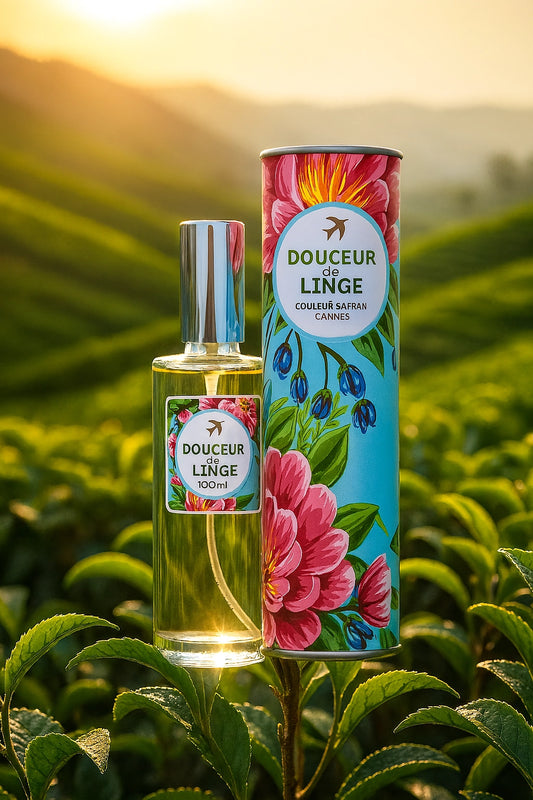 Flacon de 100 ml de Nos Douceurs de Linge de My Store, parfum blanc, pour parfumer et adoucir le linge.