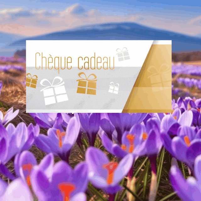 Carte cadeau de la marque My Store, illustration de la carte avec design coloré et logo visible.