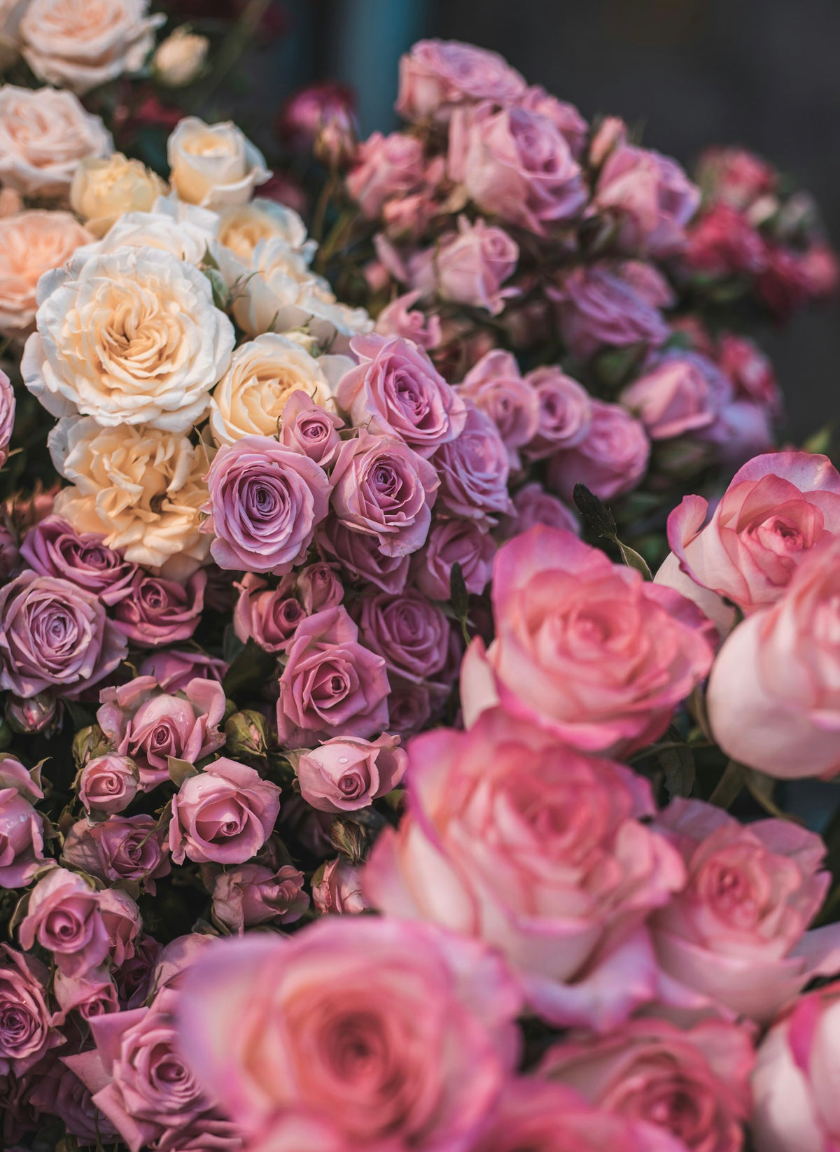 Bouquet de roses rose pâle aux tons pastel